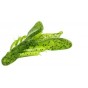 Приманка ALLVEGA Juisiy Craw 029